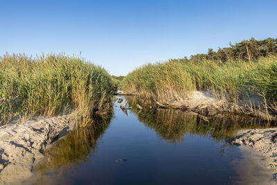 Scenic view of lake against clear blue sky