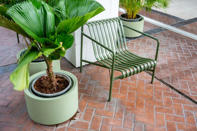 High angle view of potted plant on table