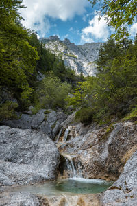 scenics - nature