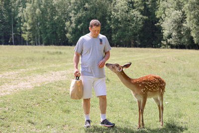 A man feeding cute spotted deer bambi  in the forest