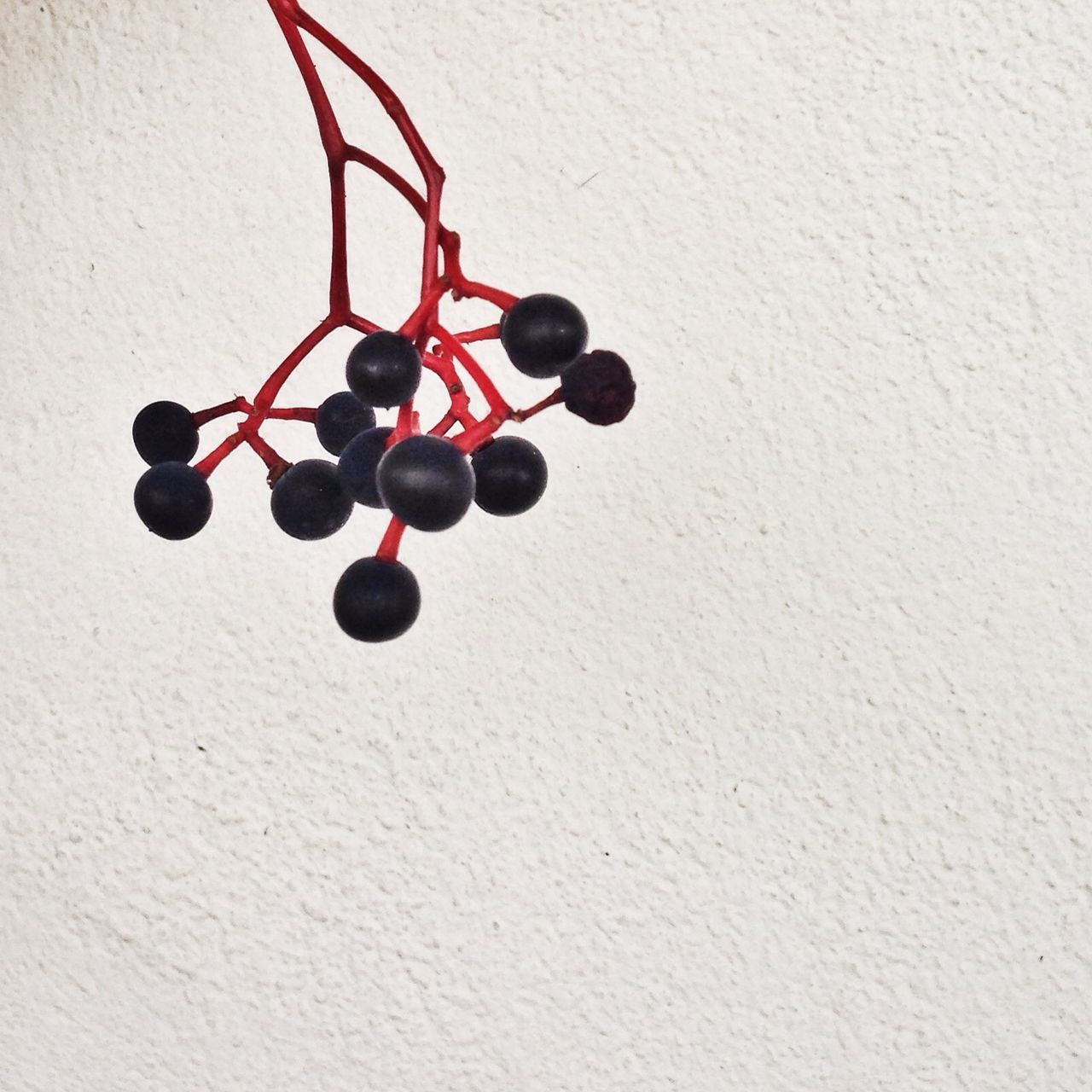 fruit, hanging, indoors, low angle view, decoration, still life, wall - building feature, close-up, no people, food and drink, freshness, healthy eating, food, balloon, bunch, day, cherry, copy space, red, ripe