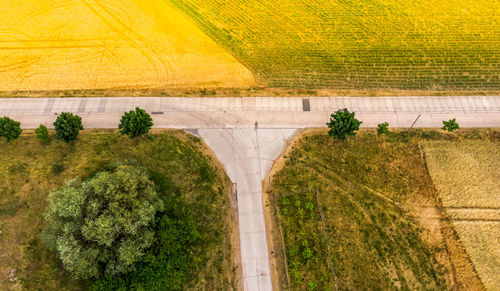 High angle view of road amidst trees