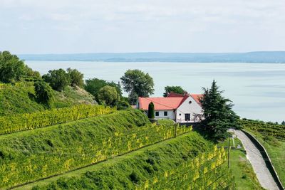 House and trees by sea against sky