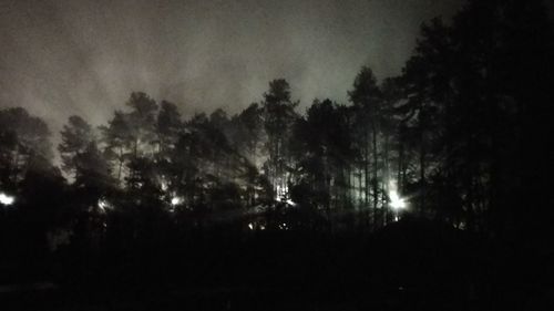 Silhouette trees in forest against sky at night