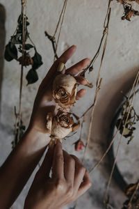 High angle view of hand holding dry roses