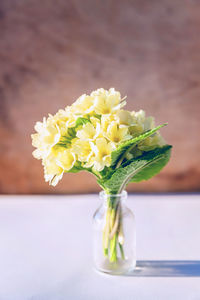Easter concept. bouquet of primrose primula with yellow flowers in glass vase outdoor