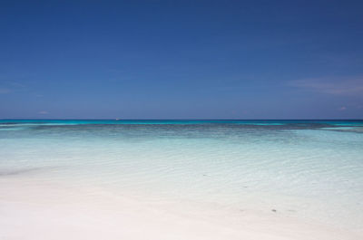 Scenic view of sea against clear blue sky