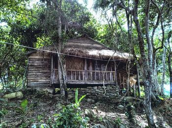 Old ruin in forest