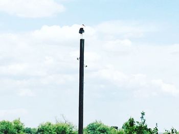 Low angle view of street light against sky