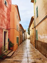 Narrow alley amidst buildings in town