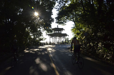 Road passing through trees