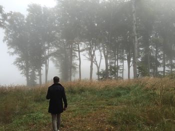 Rear view of a man walking on landscape