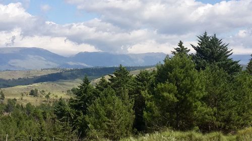 Scenic view of trees and mountains against sky
