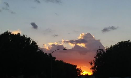 Low angle view of silhouette trees against sky