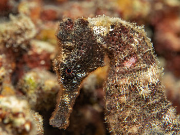 Close-up of water