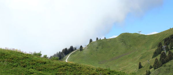 environment