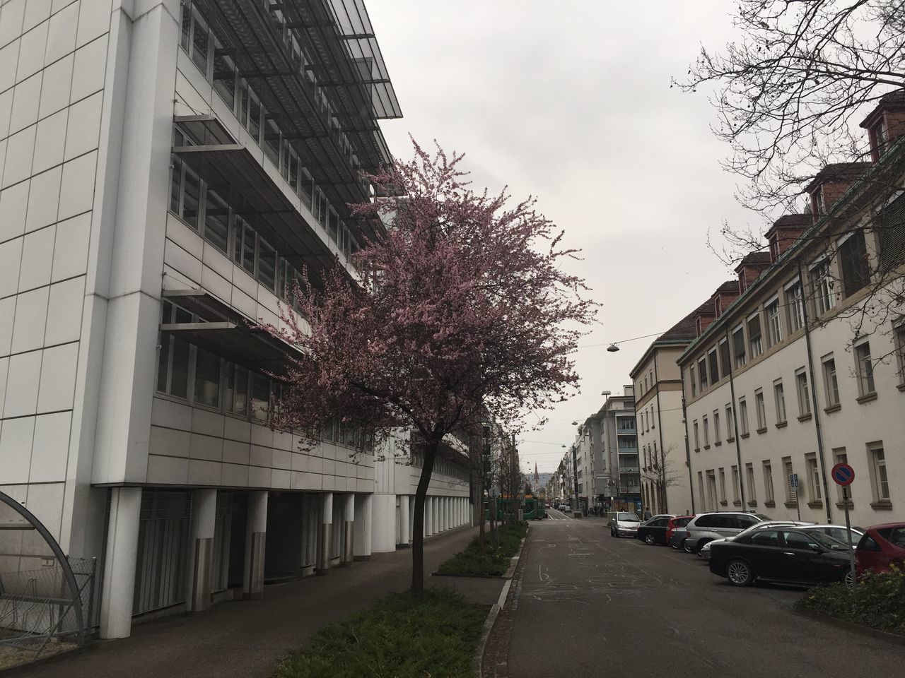 CARS ON ROAD AGAINST BUILDINGS