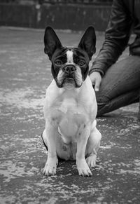 Portrait of man with dog