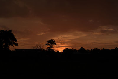 Silhouette trees against sky during sunset