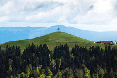 Panoramic view of landscape against sky