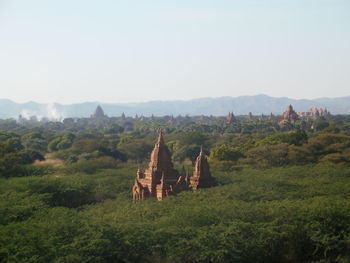 View of trees on landscape against sky