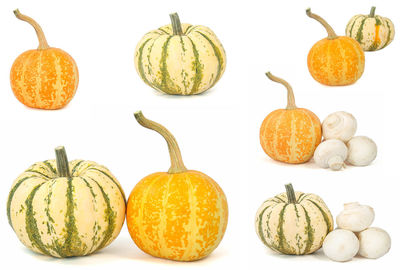 Close-up of pumpkins against white background