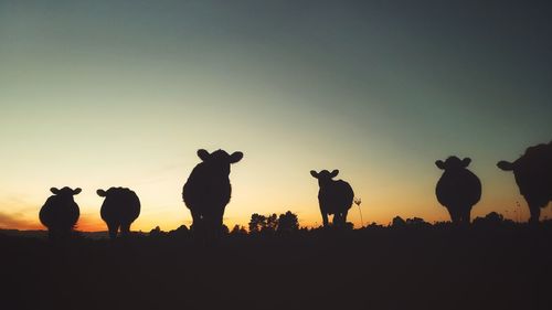 Silhouette people on field against sky during sunset