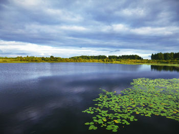 Reflection of clouds in calm lake