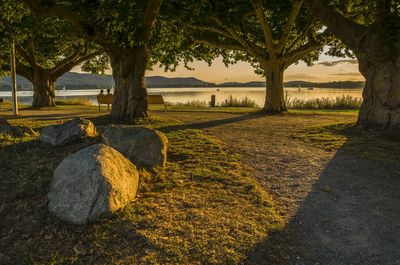 Scenic view of lake amidst trees