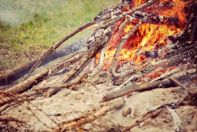 Close-up of firewood