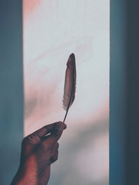 Close-up of hand holding paper against blurred background