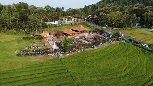 High angle view of agricultural landscape