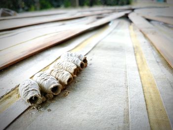 High angle view of lizard on railroad tracks