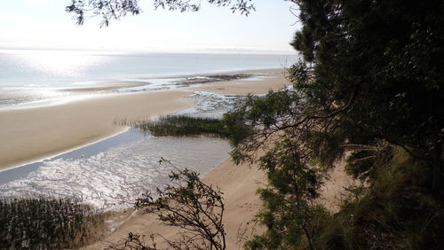 Scenic view of beach against sky