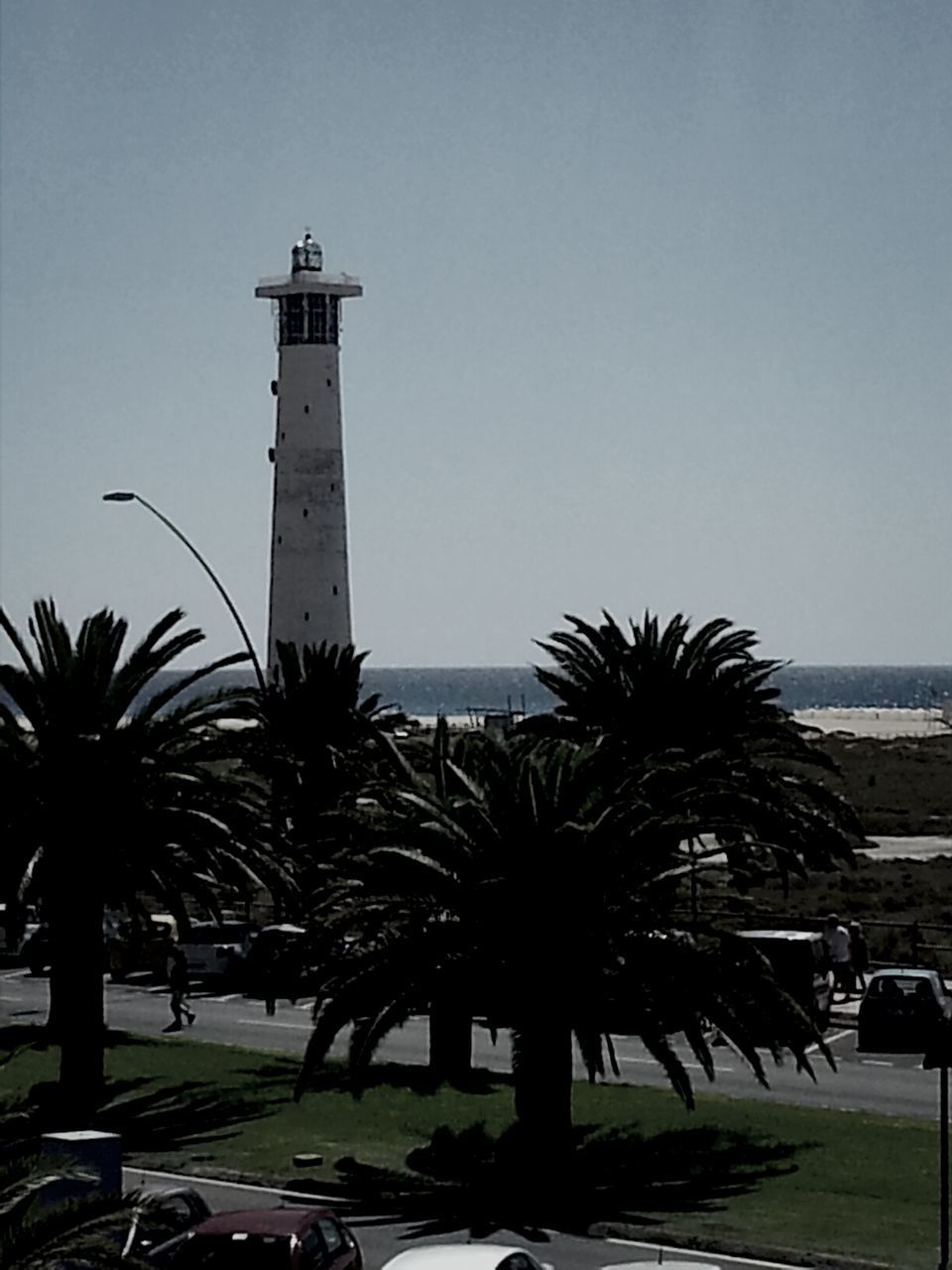 clear sky, palm tree, architecture, built structure, building exterior, sea, tree, copy space, water, tall - high, horizon over water, tower, travel destinations, beach, sunlight, incidental people, tourism, day, growth, travel