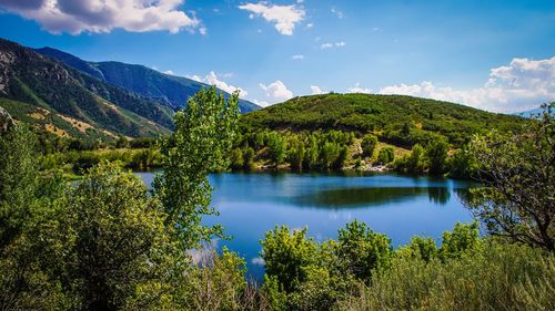 Scenic view of lake in forest against sky