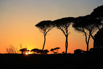 Silhouette trees on field against sky during sunset