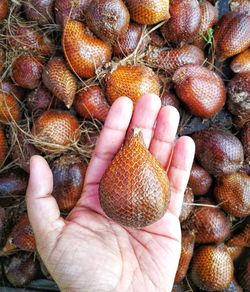 High angle view of hand holding fruits