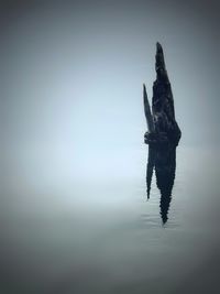 Full length of a horse in a lake