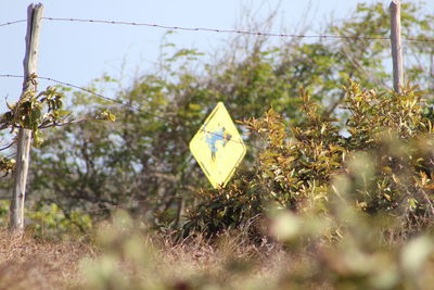 Road sign amidst plants seen through damaged barricade on sunny day