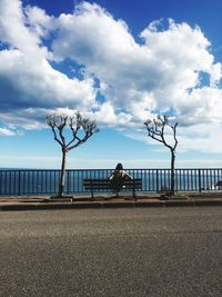 Rear view of woman sitting on bench by railing and sea against sky