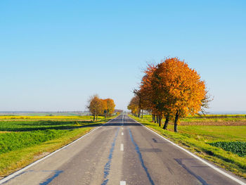 Road amidst trees on field against clear sky during autumn