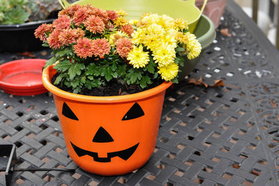 Close-up of orange potted plant on table