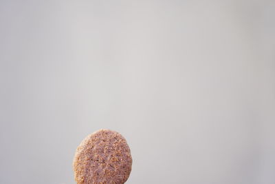 Close-up of cookies against white background