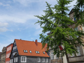 Low angle view of tree in town