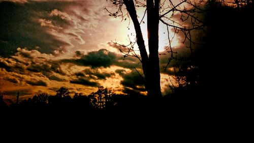 Low angle view of silhouette trees against sky at sunset