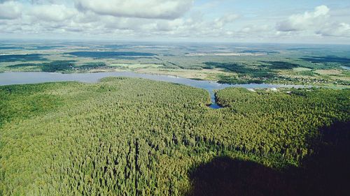 Scenic view of agricultural field against sky