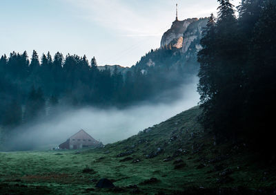 Panoramic view of trees on mountain against sky