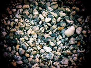 Full frame shot of pebbles
