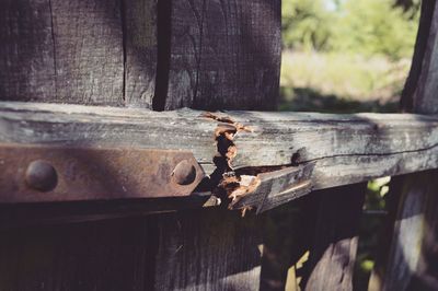 Close-up of rusty metal on broken wooden door
